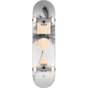 Tabla Skate Completa Globe G1 Stack 8.0''